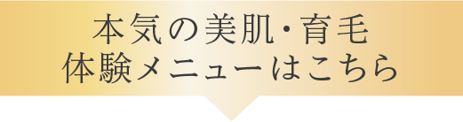 メニューはこちら